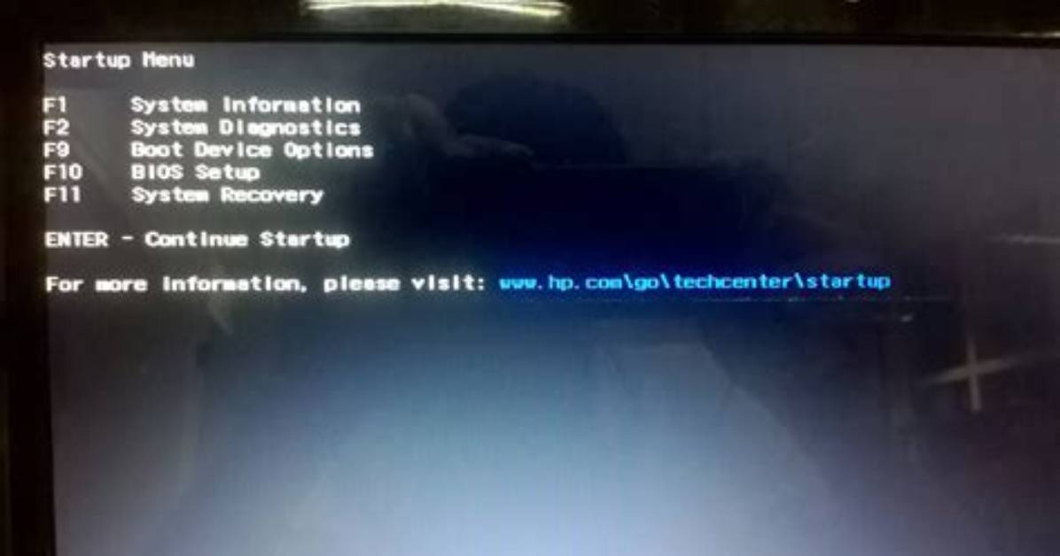 No Operating System Selection Screen