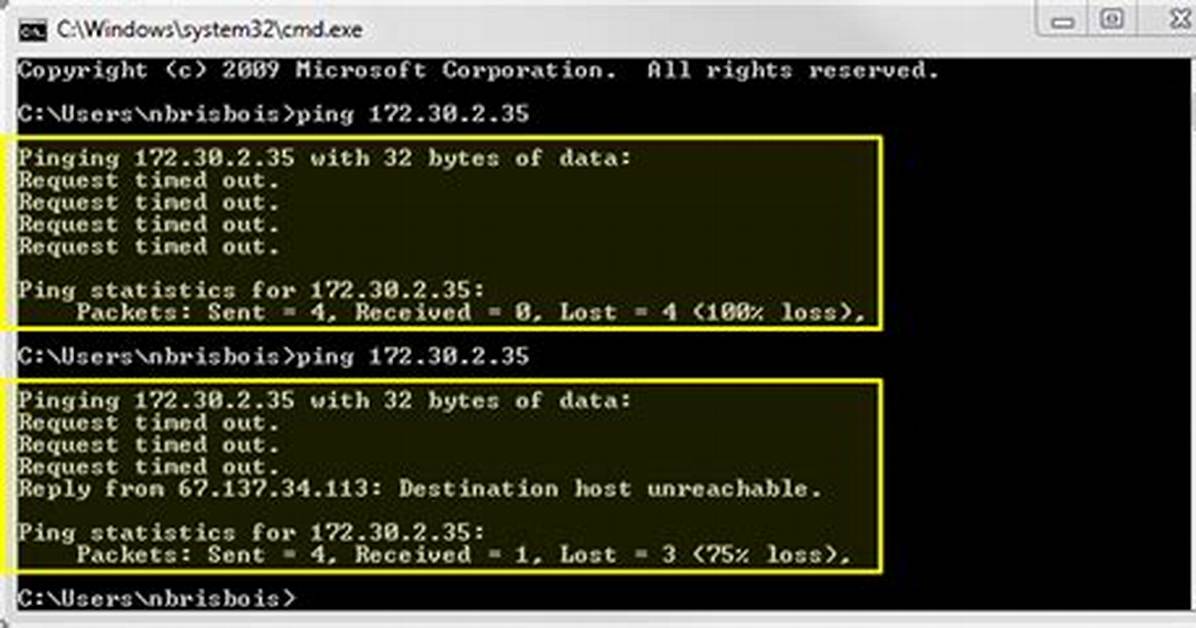 No Reply for Ping Command. What Does This Mean?