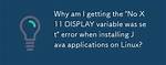 "No X11 Display Variable" - What Does It Mean?