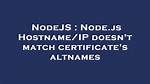 Node. Js Hostname/Ip Doesn't Match Certificate's Altnames