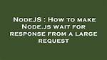 Node. Js Wait for Response
