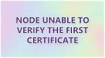 Node Throwing "Unable to Verify the First Certificate" Error When Fetching from Api