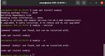 Nodejs Appear Installed but "--Version" Is Not Working. on Ubuntu 20.04 Lts