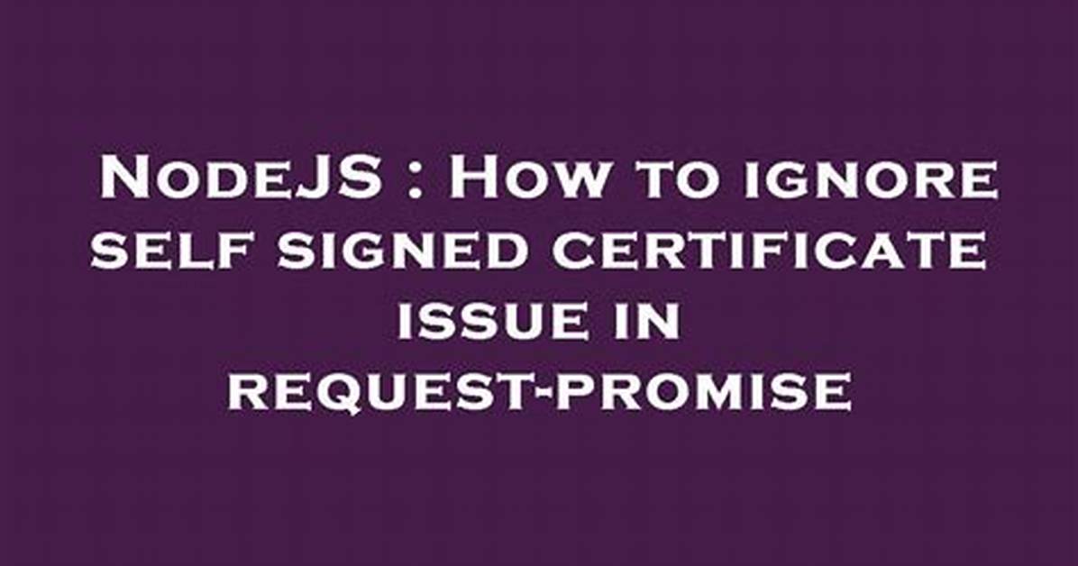 Nodejs - Error Self Signed Certificate in Certificate Chain