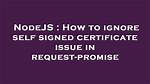 Nodejs - Error Self Signed Certificate in Certificate Chain