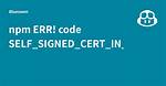 Nodejs "Npm Err! Code Self_Signed_Cert_In_Chain"