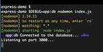 Nodemon Inspect/Debug Not Working?
