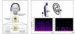 Noise from a Sty
