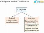 Nominal Variable Examples