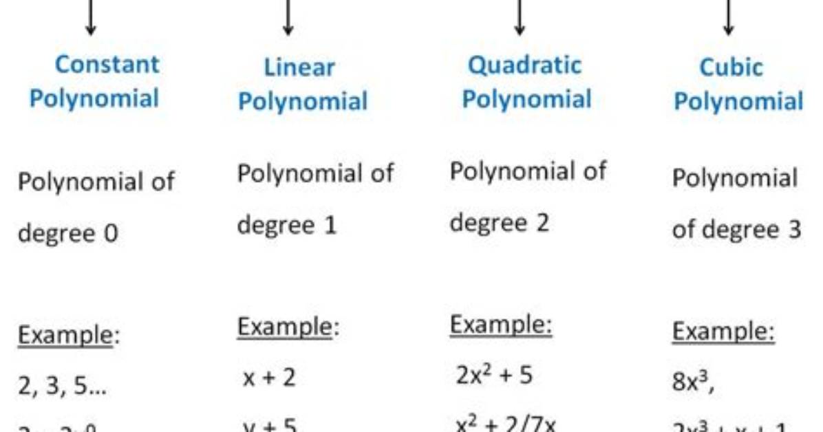 Non-Constant Polynomials