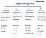 Non-Constant Polynomials