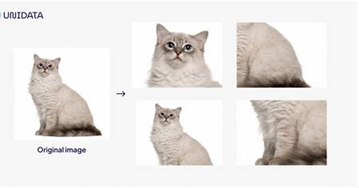Non-Image Data Augmentation