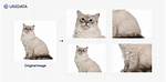 Non-Image Data Augmentation