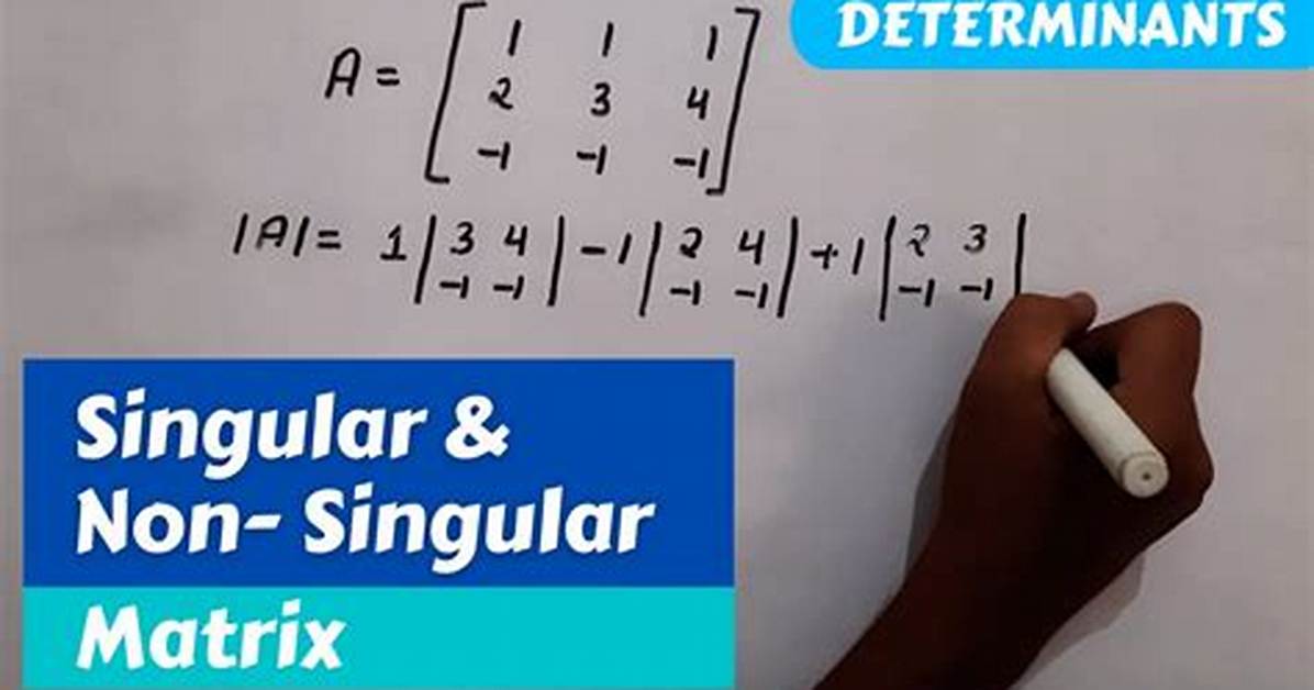 Non-Singular Matrix, Determinants