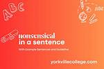 Nonsensical