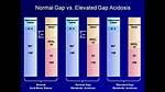 Normal Anion Gap Levels