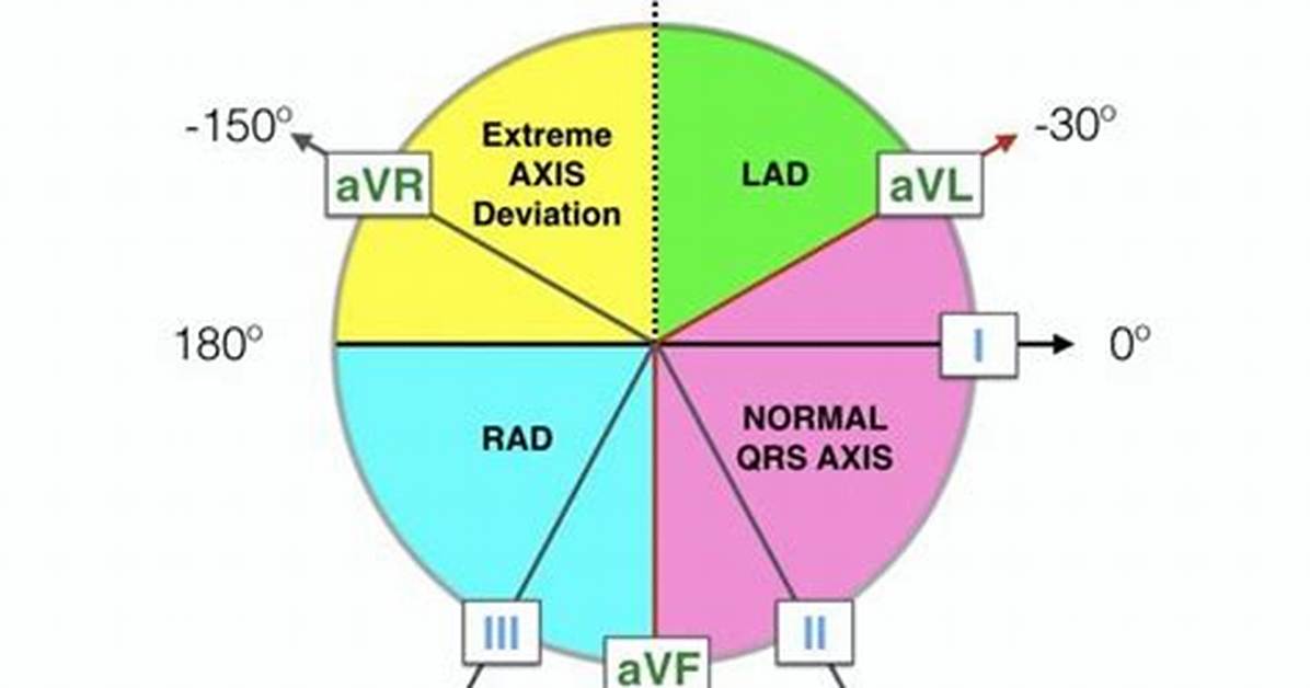 Normal Axis Ecg