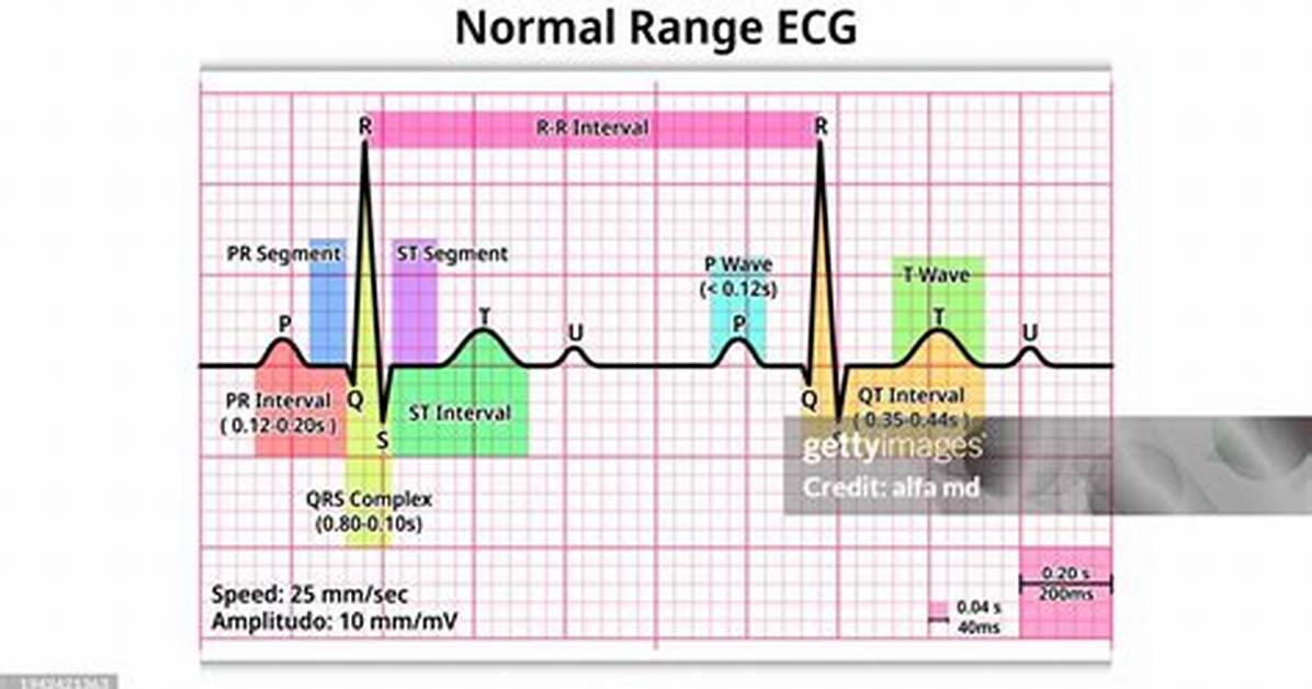 Normal Pr Interval Range