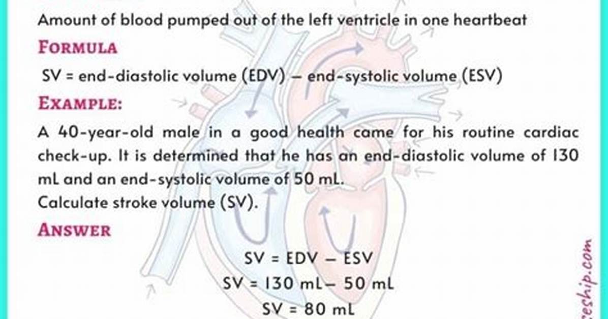 Normal Stroke Volume
