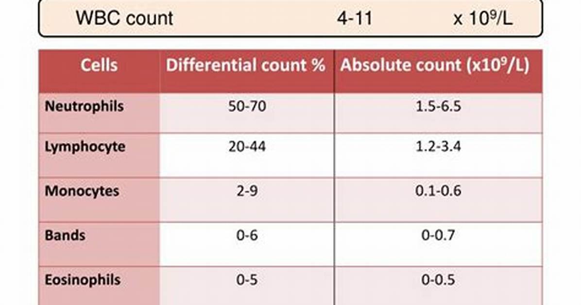 Normal Wbc Count Range