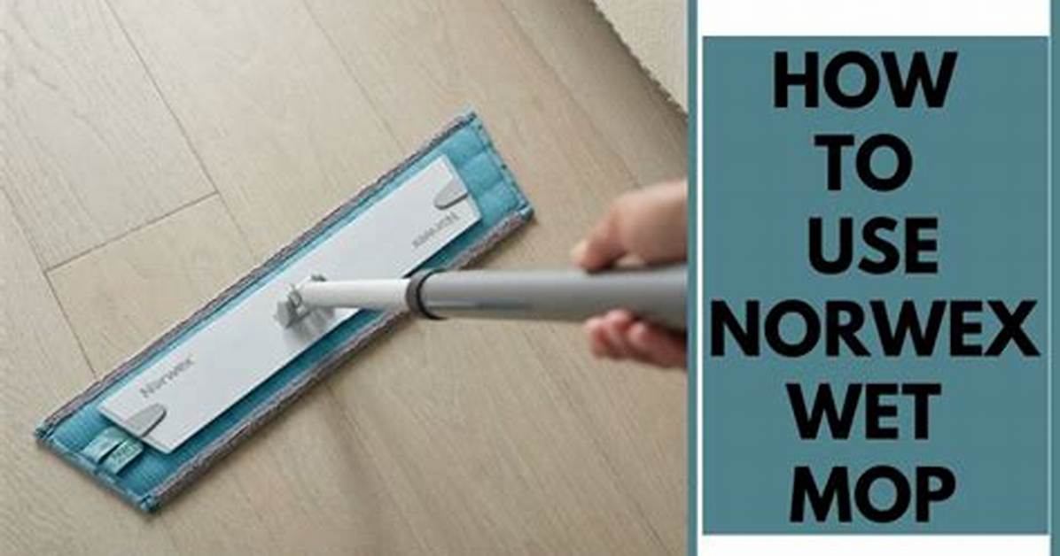 Norwex Mop