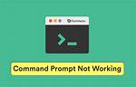 Not Prompt