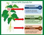 Npk Stand For
