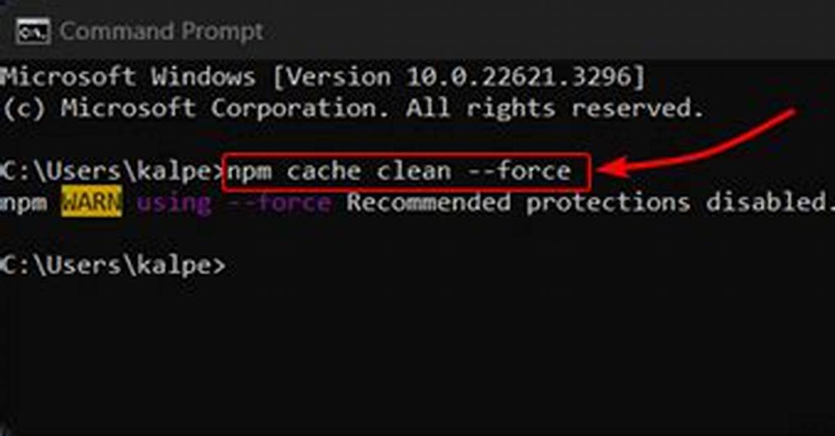 Npm Cache Clean
