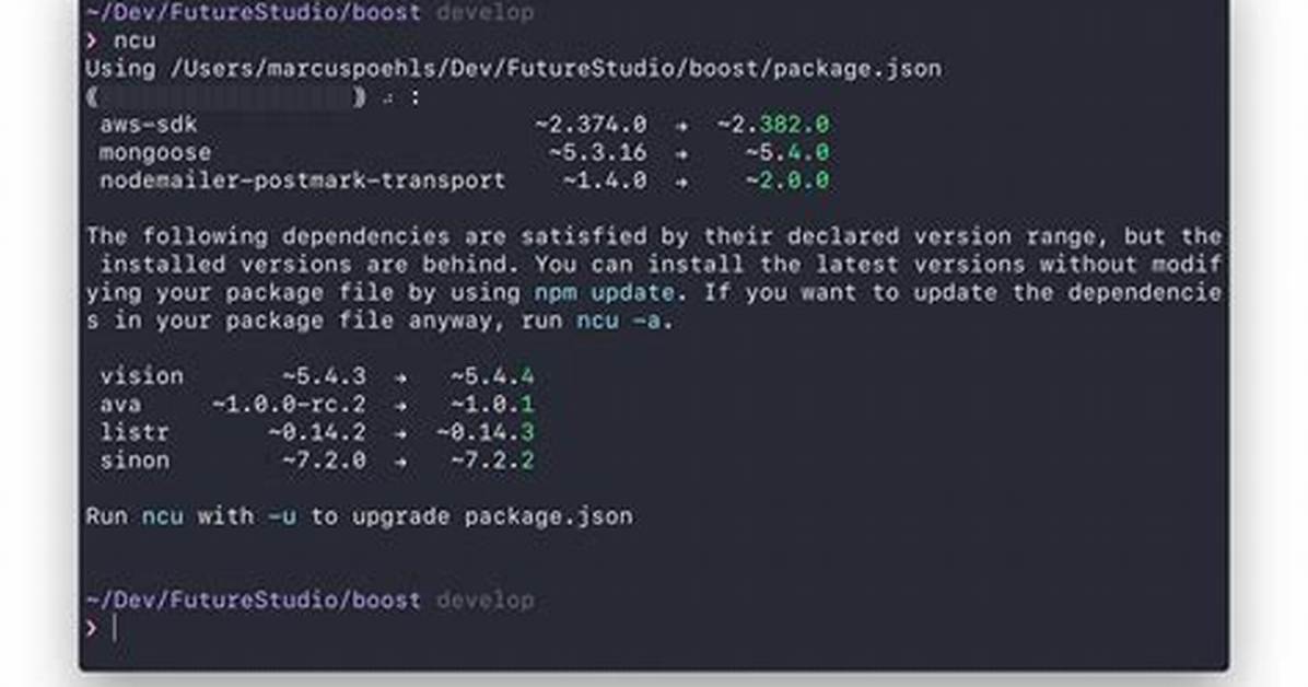 Npm Update