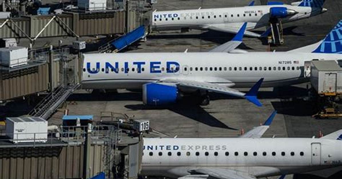 Ntsb Says Error Caused by Pilot United Flight’s Plunge Toward the Ocean