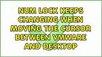 Num Lock Keeps Changing When Moving the Cursor Between Vmware and Desktop