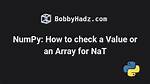 Numpy: Checking If a Value Is Nat