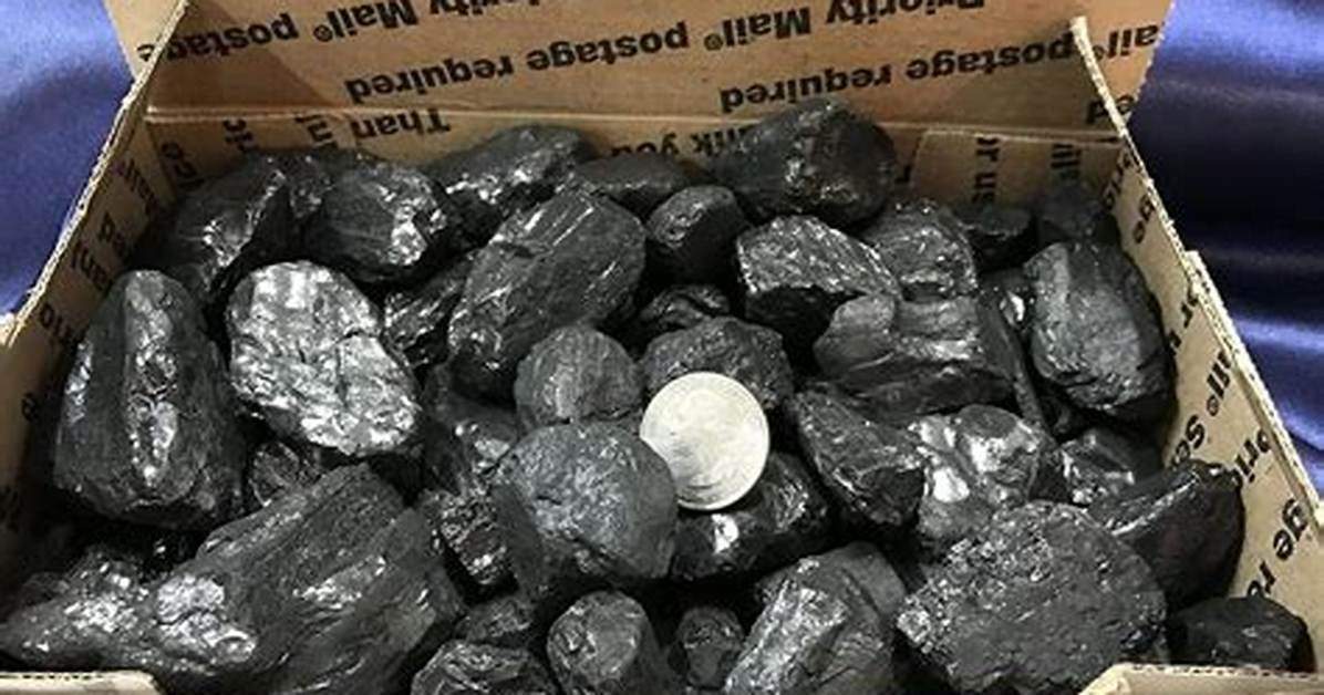 Nut Coal