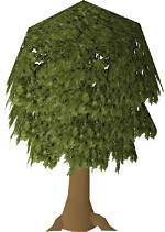 Oak Tree Osrs