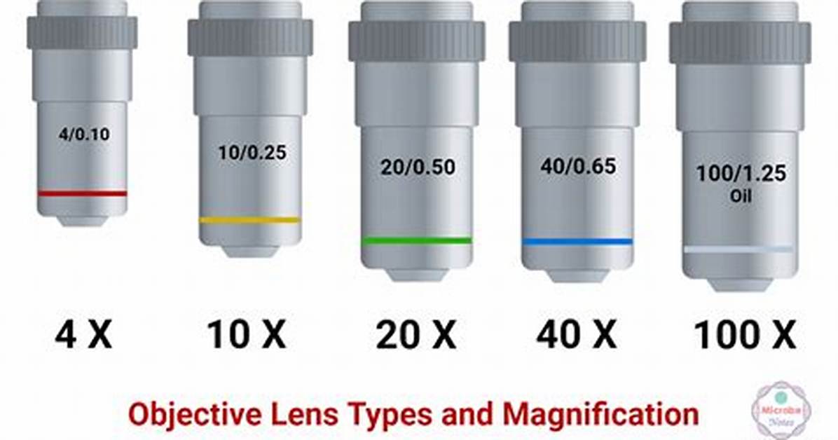 Objective Lens Microscope Function