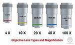 Objective Lens Microscope Function