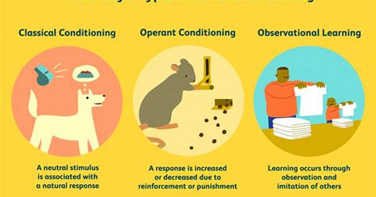 Observational Conditioning