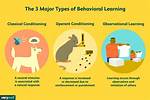Observational Conditioning