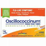 Occicilium