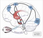 Oculomotor Dysfunction