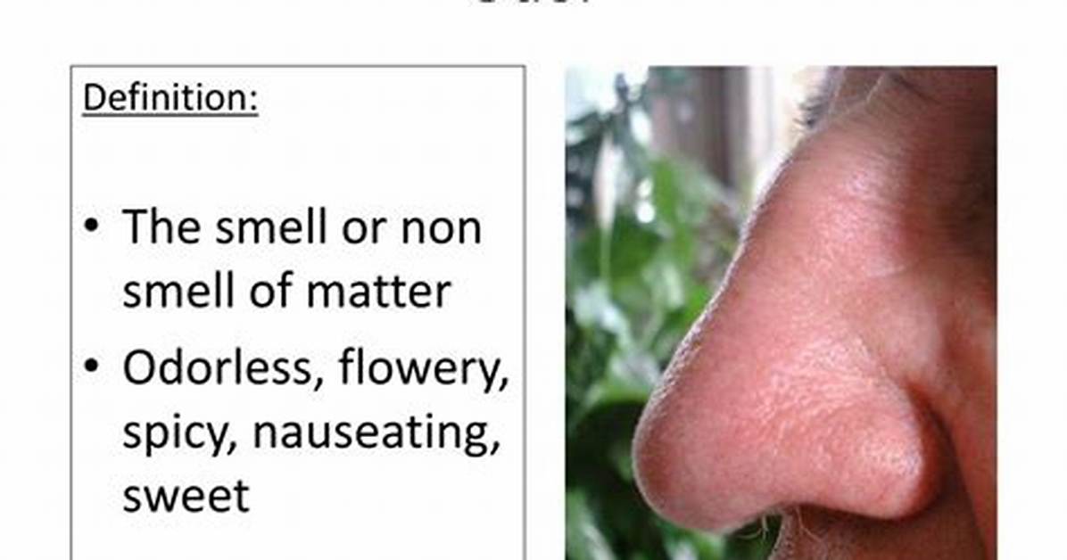 Odor Definition
