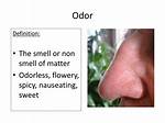 Odor Definition