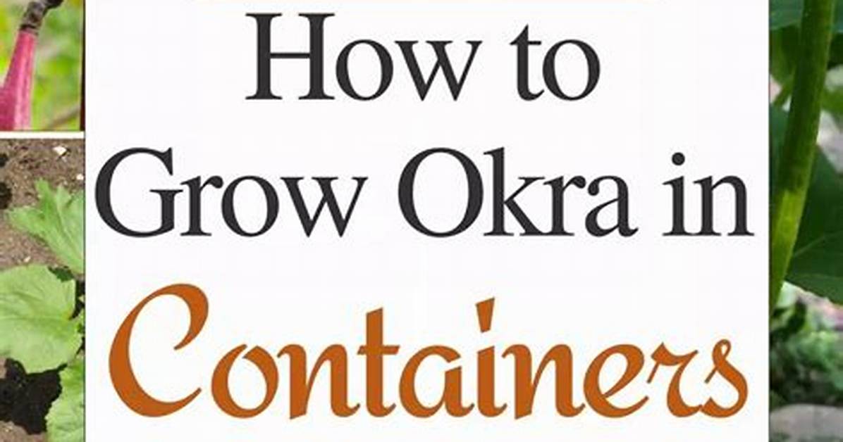 Okra Container