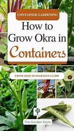 Okra Container