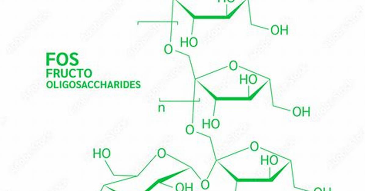 Oligofructose
