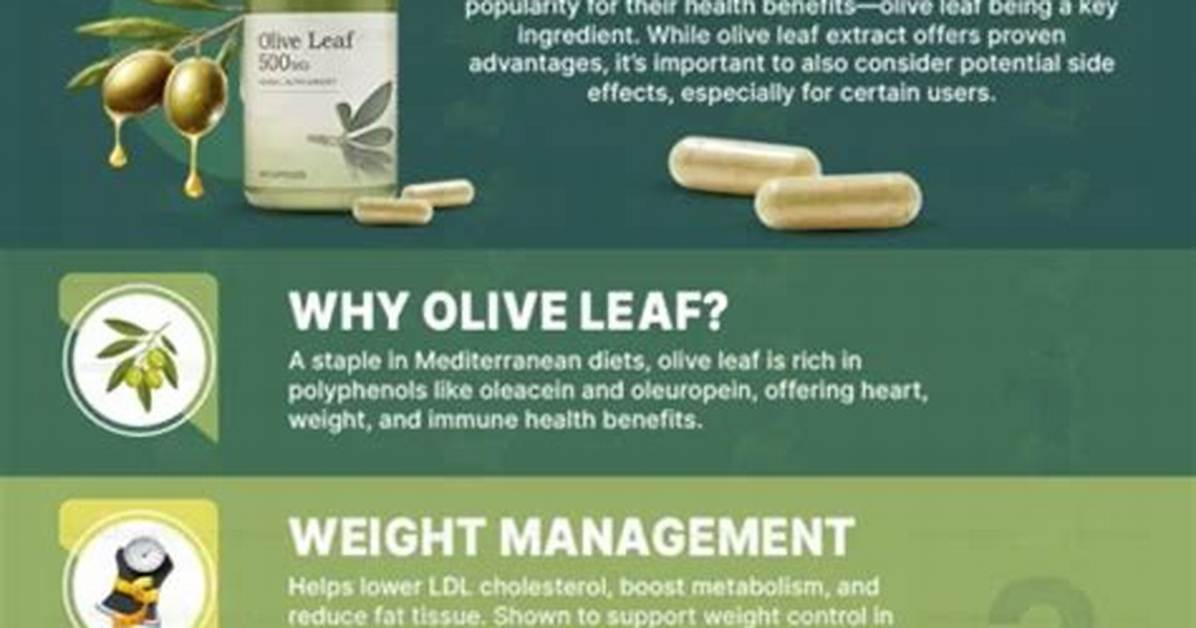 Olive Leaf Extract Side Effects