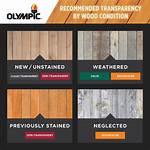 Olympic Stain