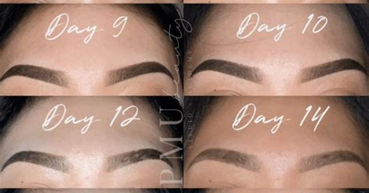 Ombre Brows Healing Process