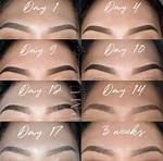 Ombre Brows Healing Process