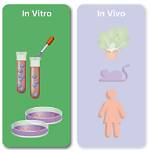 On in Vitro Experiments?